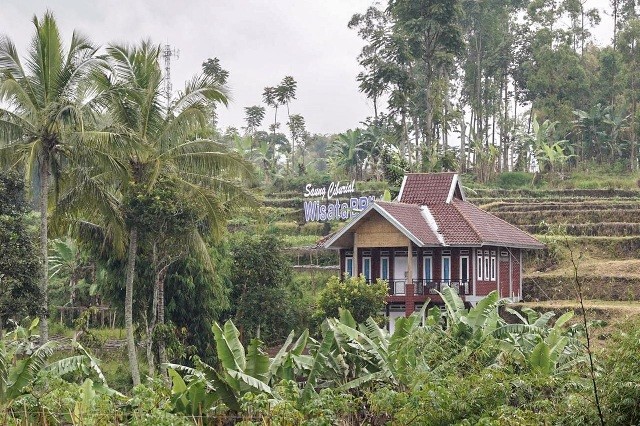 saung.jpg