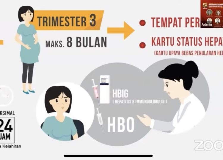 Hentikan Penularan Hepatitis B, Kemenkes Dorong Intervensi Tenofovir ...