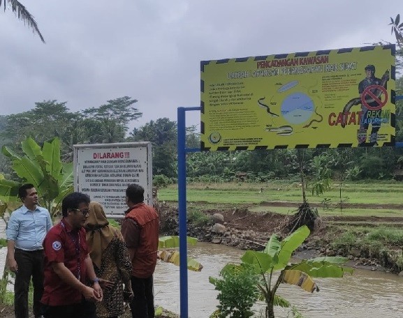 KKP Cadangkan 10 Lokasi Kawasan Pelarangan Penangkapan Ikan Sidat